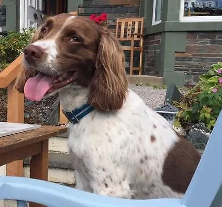 The Mount Self-catering Portinscale