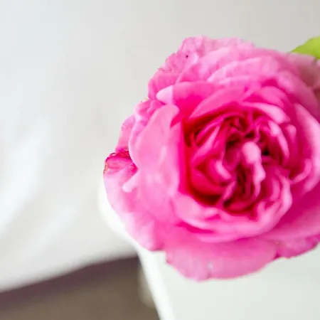 The Mount Self-catering Semesterbostad *