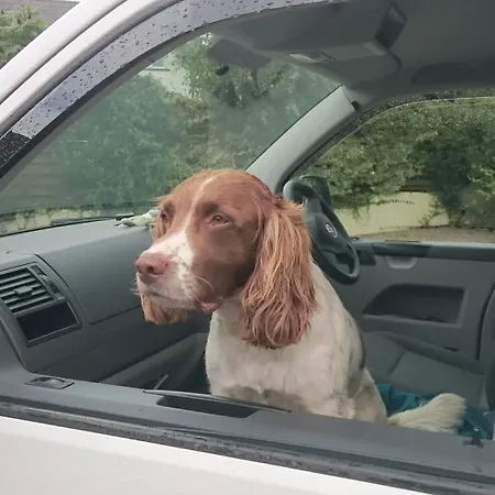 The Mount Self-catering Semesterbostad *