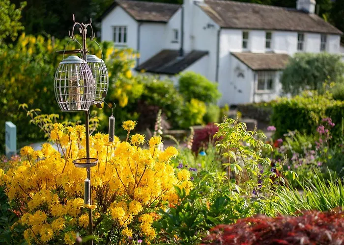 Vakantiehuis The Mount Self-catering *