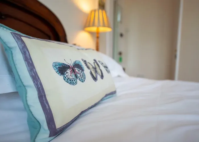 Vakantiehuis The Mount Self-catering